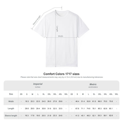 Comfort Colors 1717 unisex T-shirt size chart showing width, length and sleeve measurements in inches and centimetres for sizes S to 4XL.